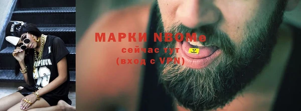 хмурый Алзамай