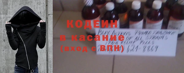 хмурый Алзамай