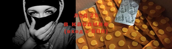 хмурый Алзамай
