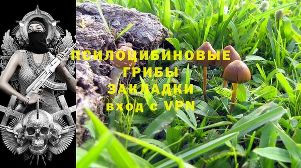 гашик Алексеевка