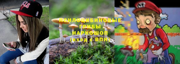 гашик Алексеевка