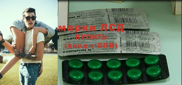 гашик Алексеевка