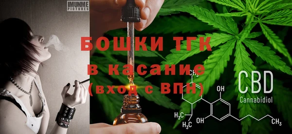 гашик Алексеевка