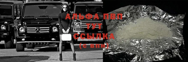 хмурый Алзамай