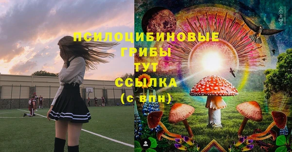 spice Алексин