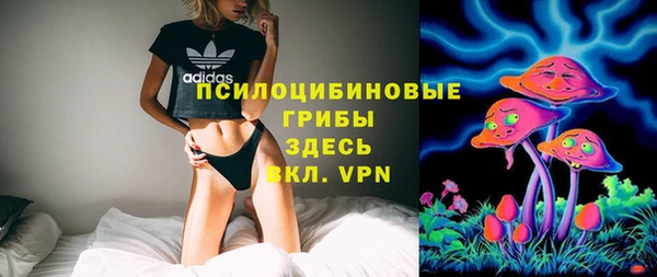 spice Алексин