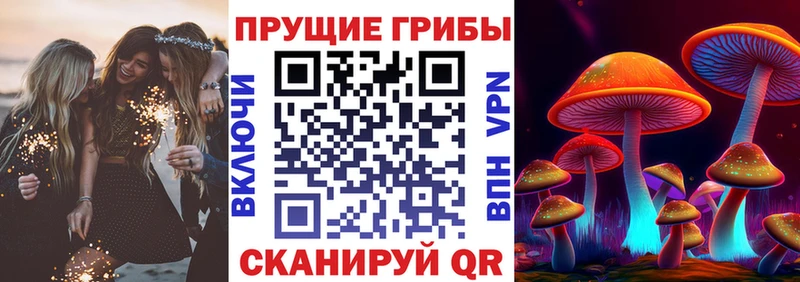 Галлюциногенные грибы Cubensis  Апшеронск 