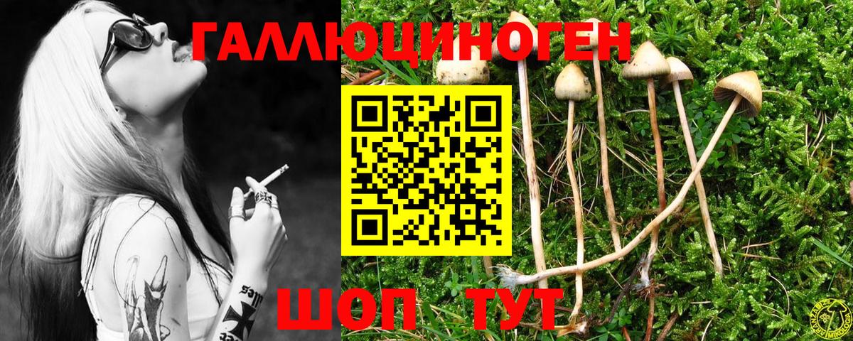 Галлюциногенные грибы ЛСД  Вход с VPN  Апшеронск 