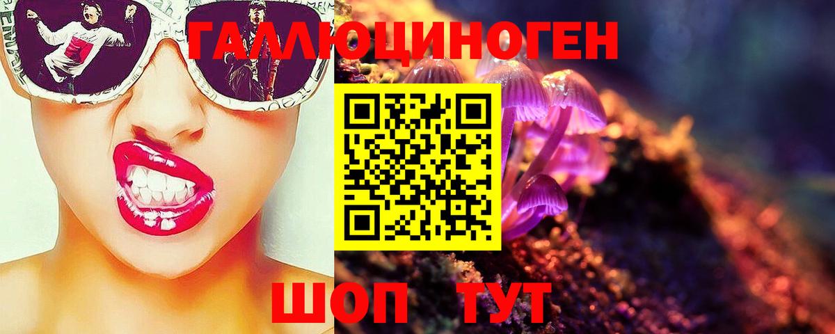 Псилоцибиновые грибы прущие грибы Апшеронск