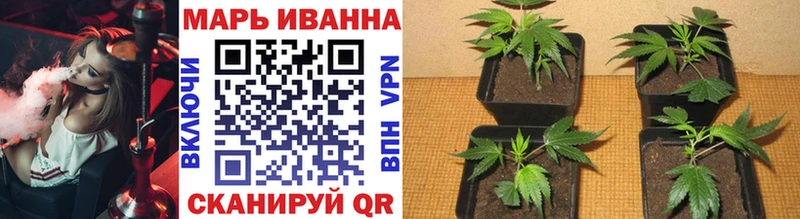 Бошки марихуана Bruce Banner  Апшеронск 
