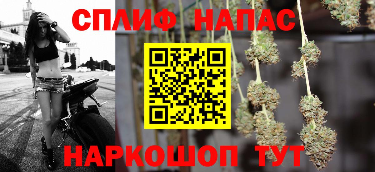 Каннабис семена Апшеронск